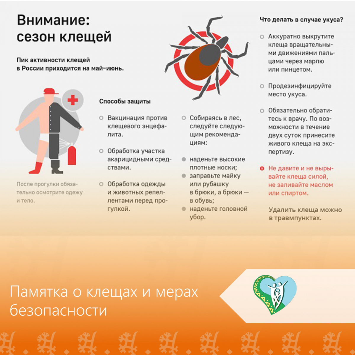 Памятка профилактика клещей img