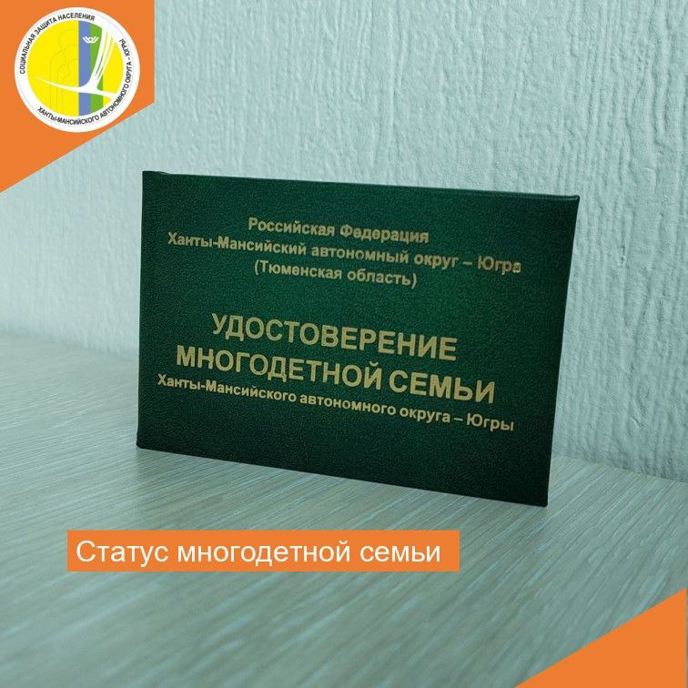 Статус многодетной семьи img