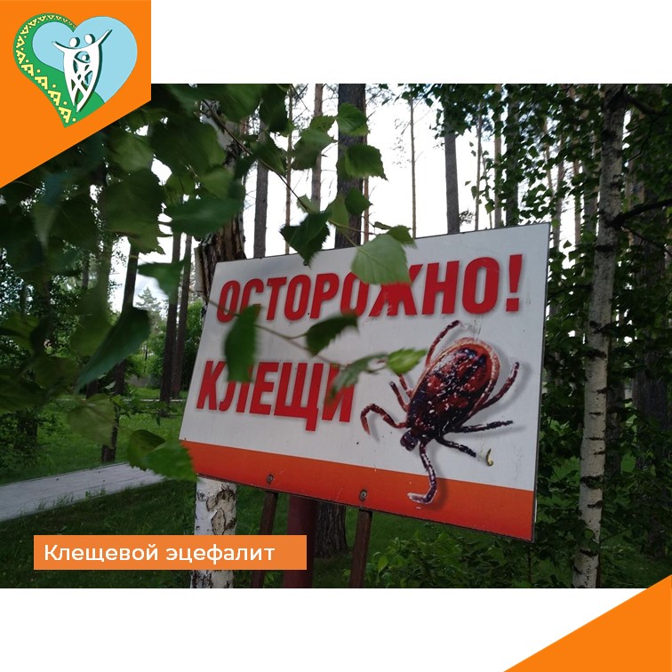 Клещевой эцефалит img