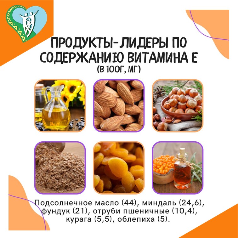 О принципах здорового питания img