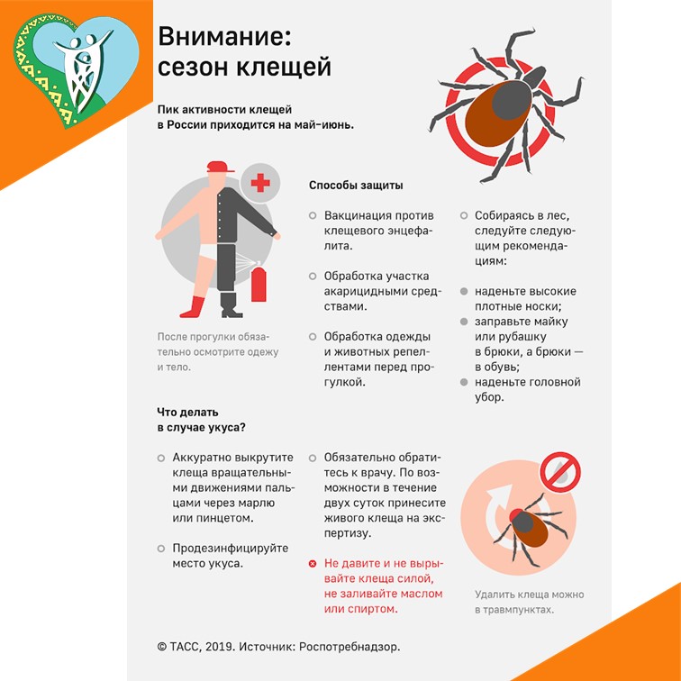 Внимание! Сезон клещей img