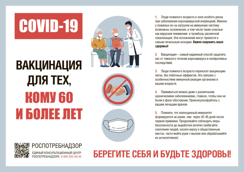 class=wp-image-11912